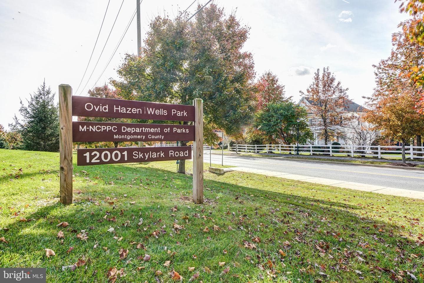 12333 Cherry Branch Drive photo 47