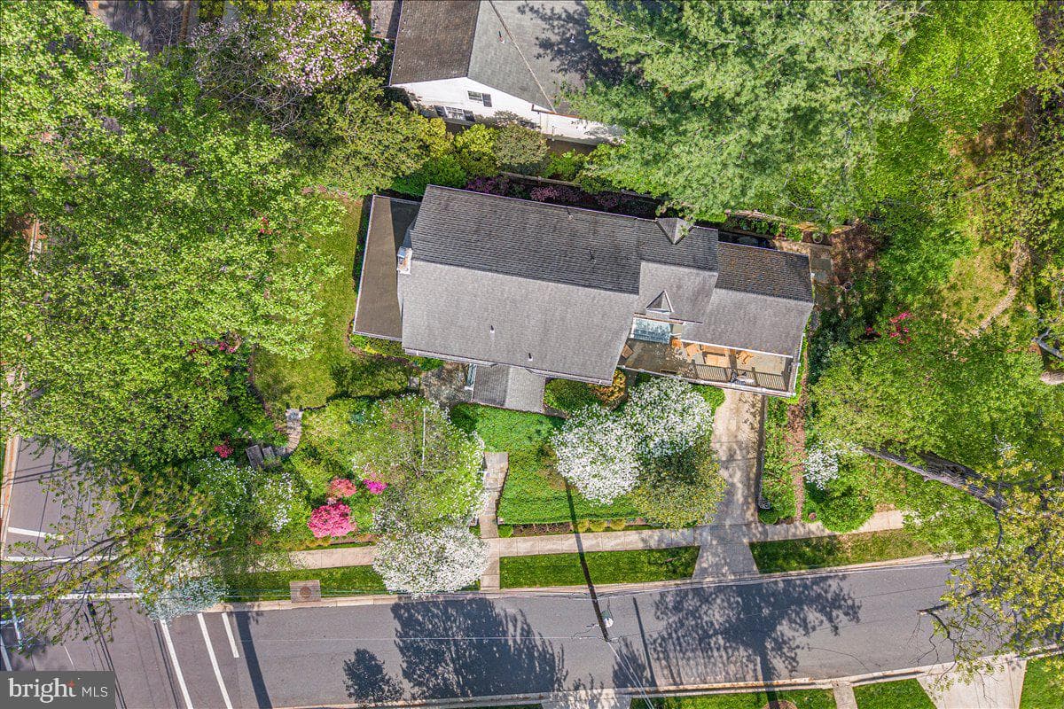 7109 Meadow Lane photo 4