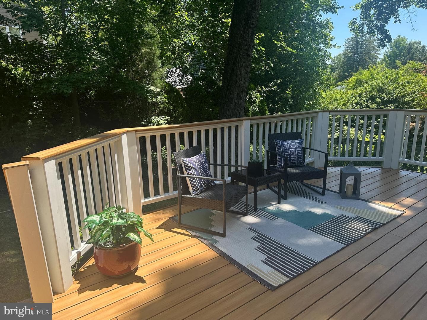 9223 Adelaide Drive photo 24
