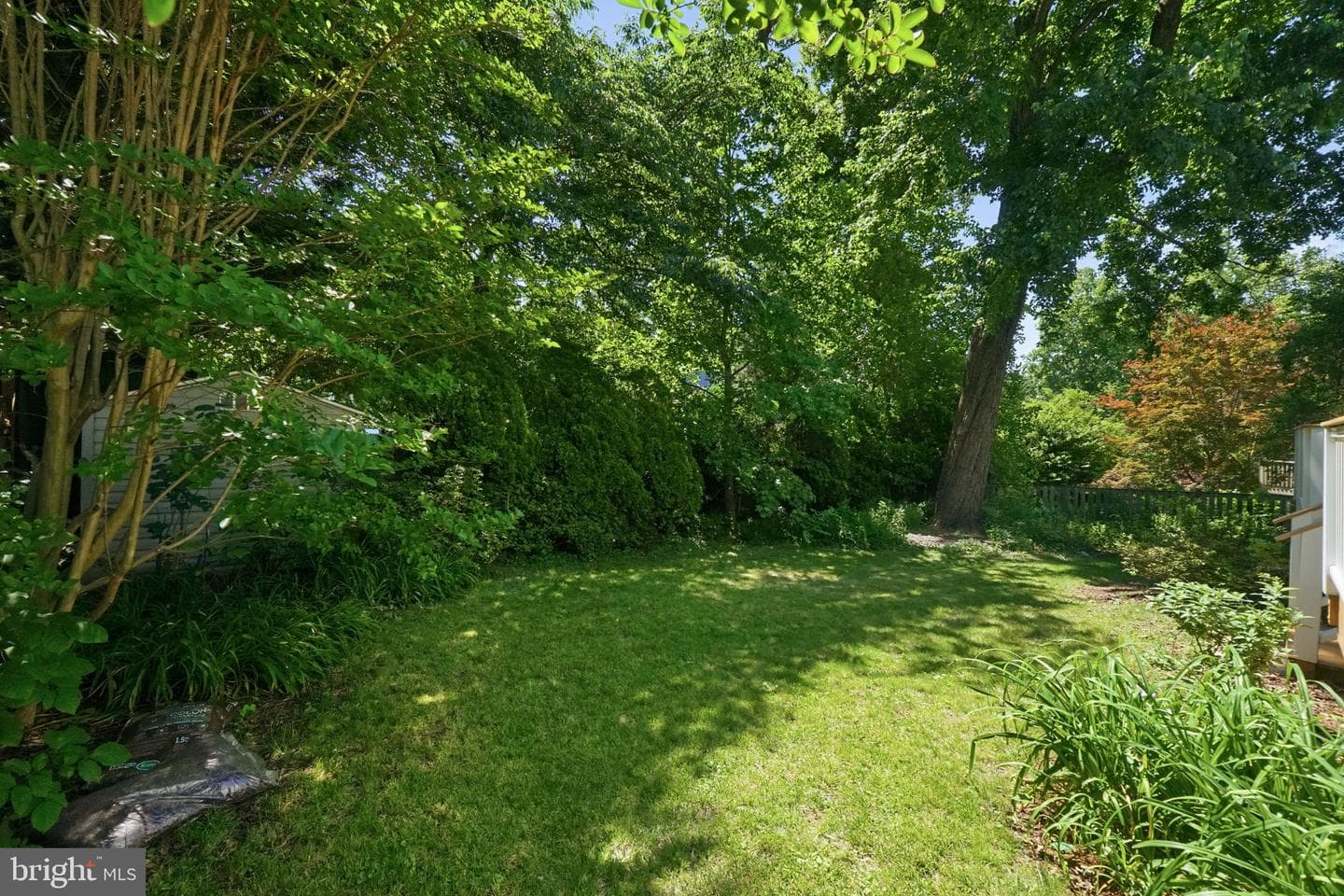 9223 Adelaide Drive photo 25