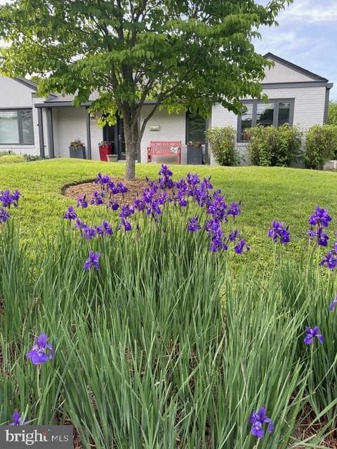 3311 Coquelin Terrace photo 62