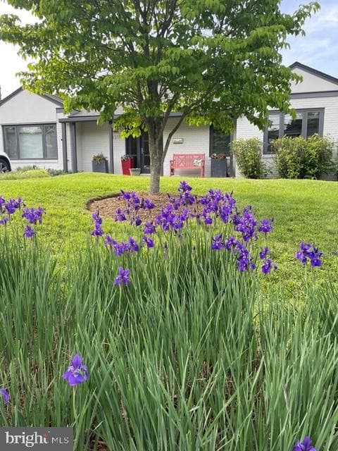 3311 Coquelin Terrace photo 63