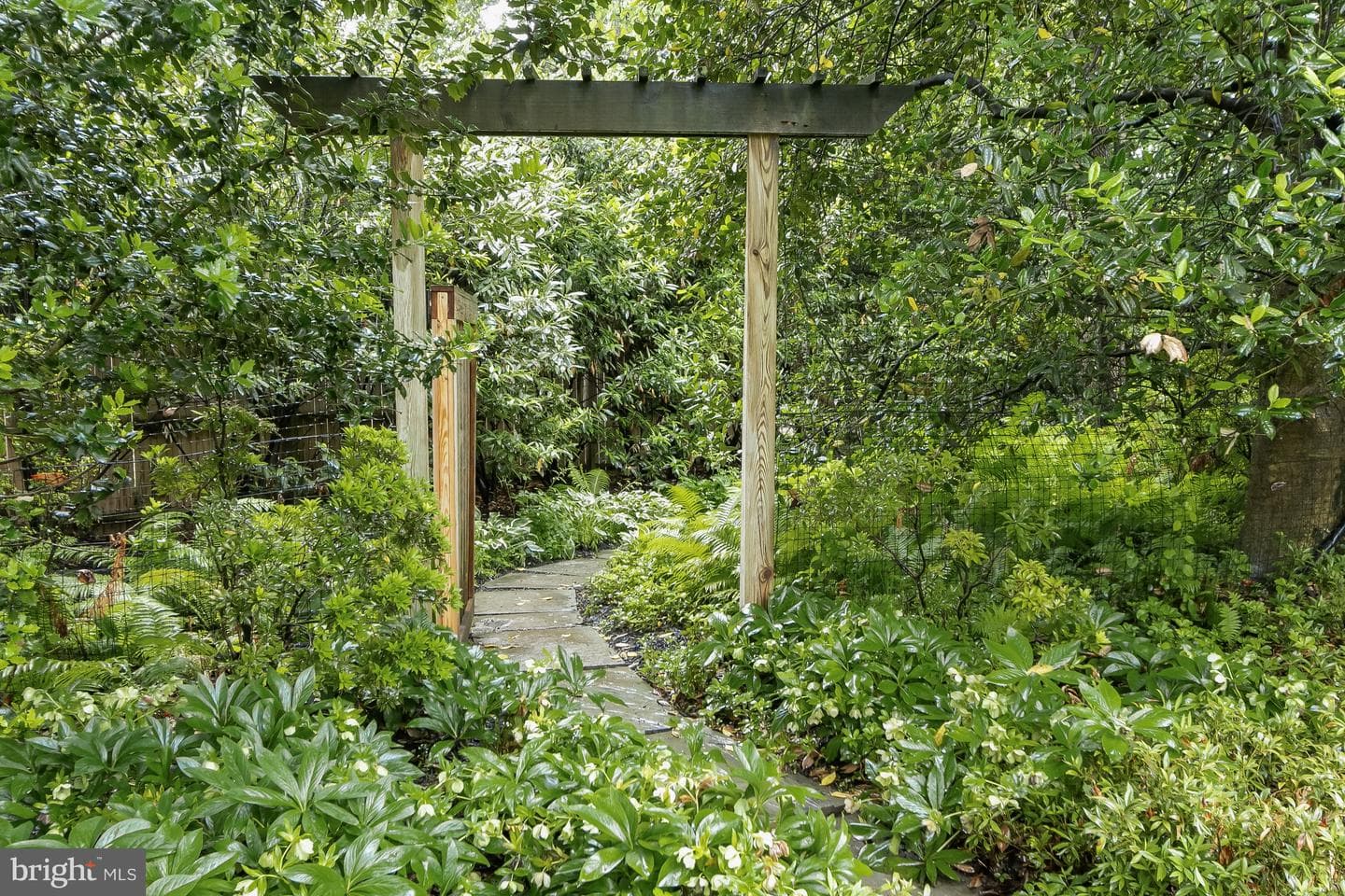 11404 Grundy Court photo 42