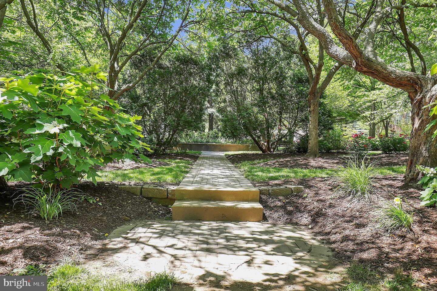 303 Garden View Square photo 34