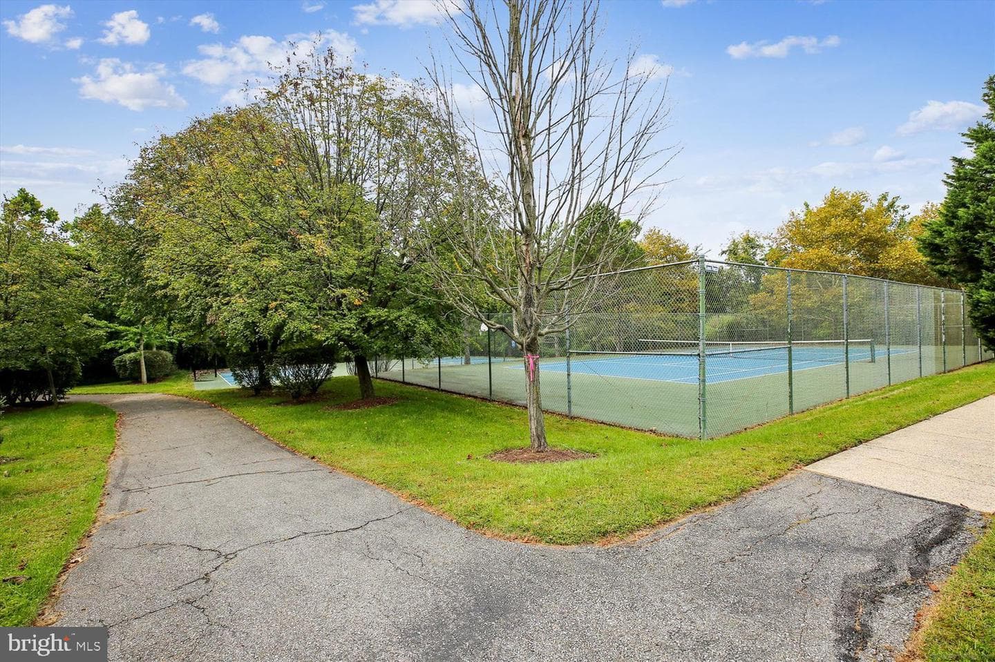130 Winding Rose Drive photo 48