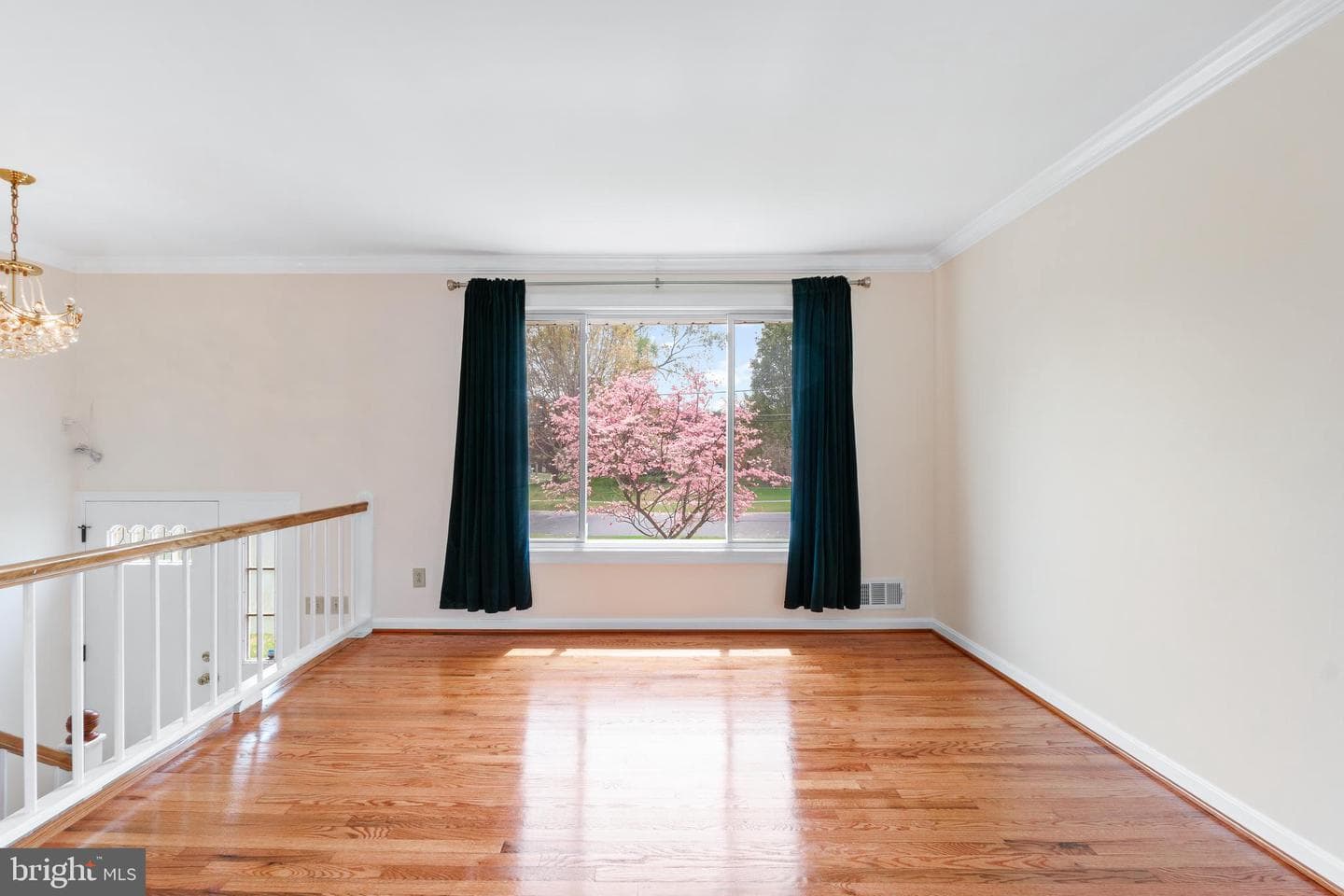 14236 Chadwick Lane photo 4