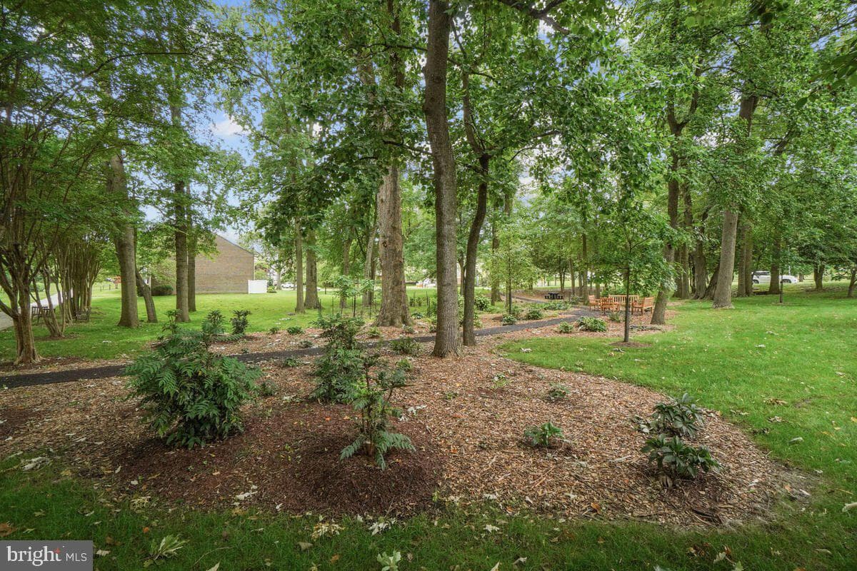 3200 N Leisure World Boulevard #308 photo 46