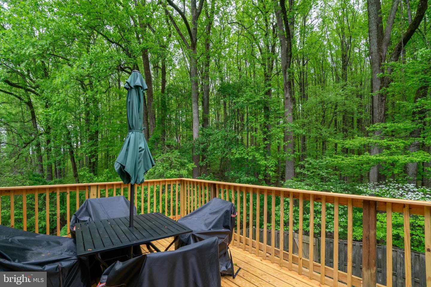 1314 Alderton Lane photo 12