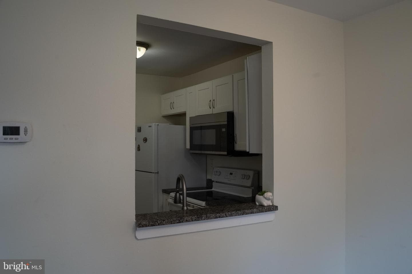 10010 Ridgeline Drive photo 11