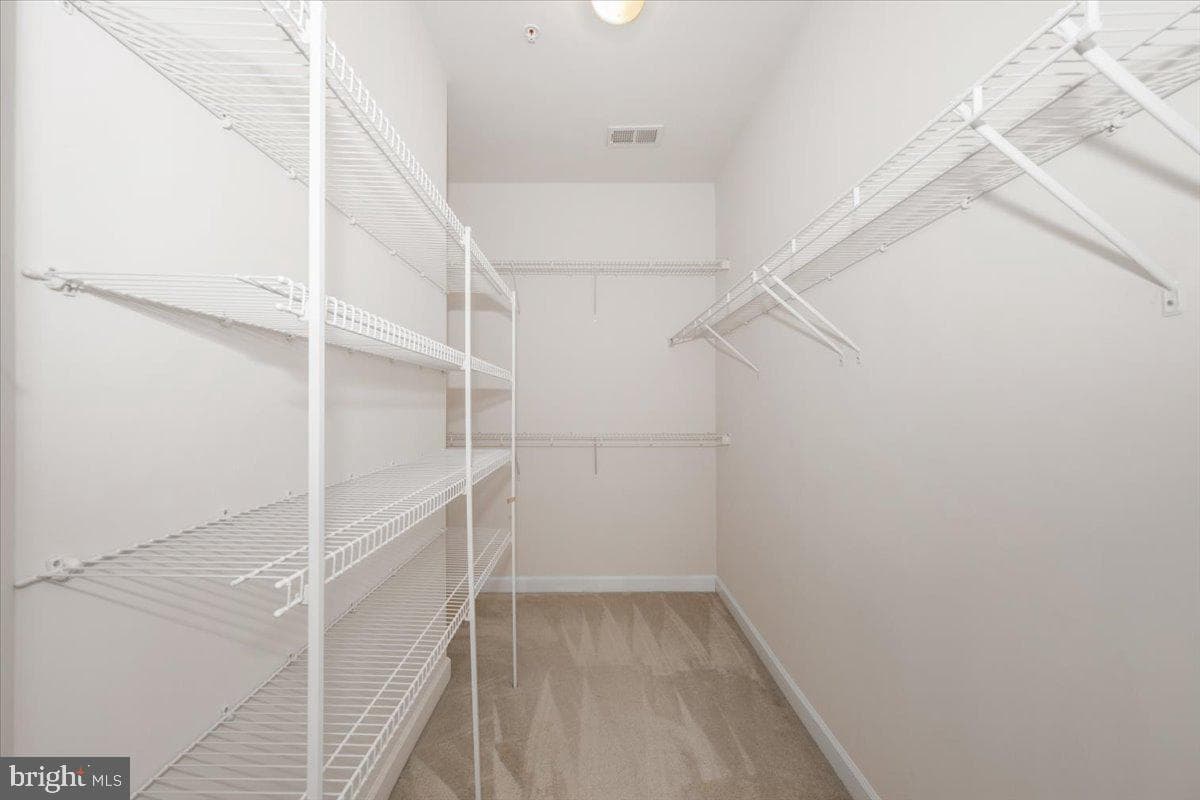 11117 Potomac Oaks Drive photo 52
