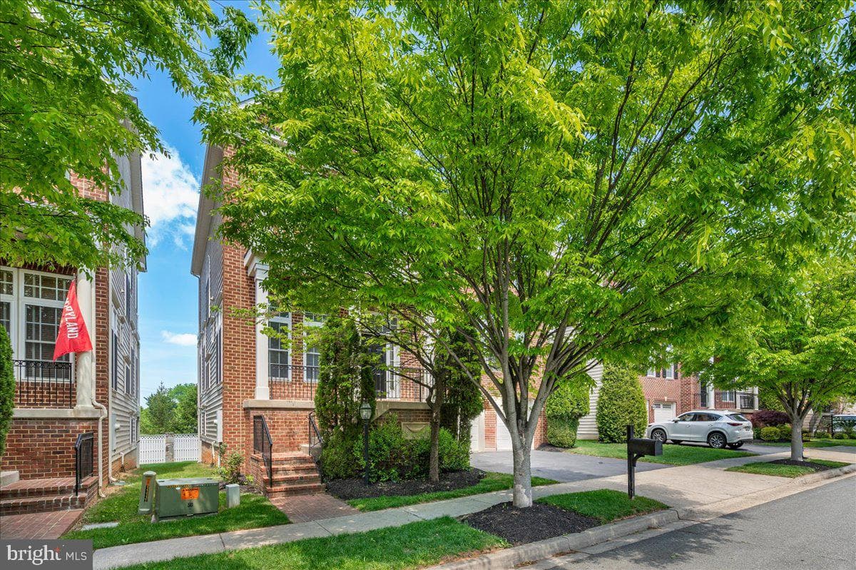 11117 Potomac Oaks Drive photo 89