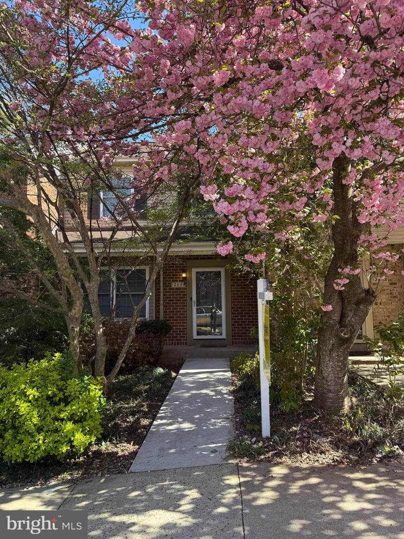 12636 Black Saddle Lane photo 2