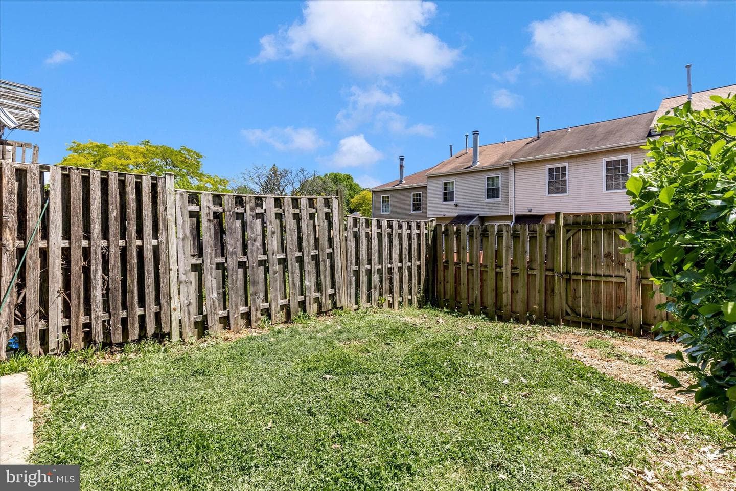 12636 Black Saddle Lane photo 28
