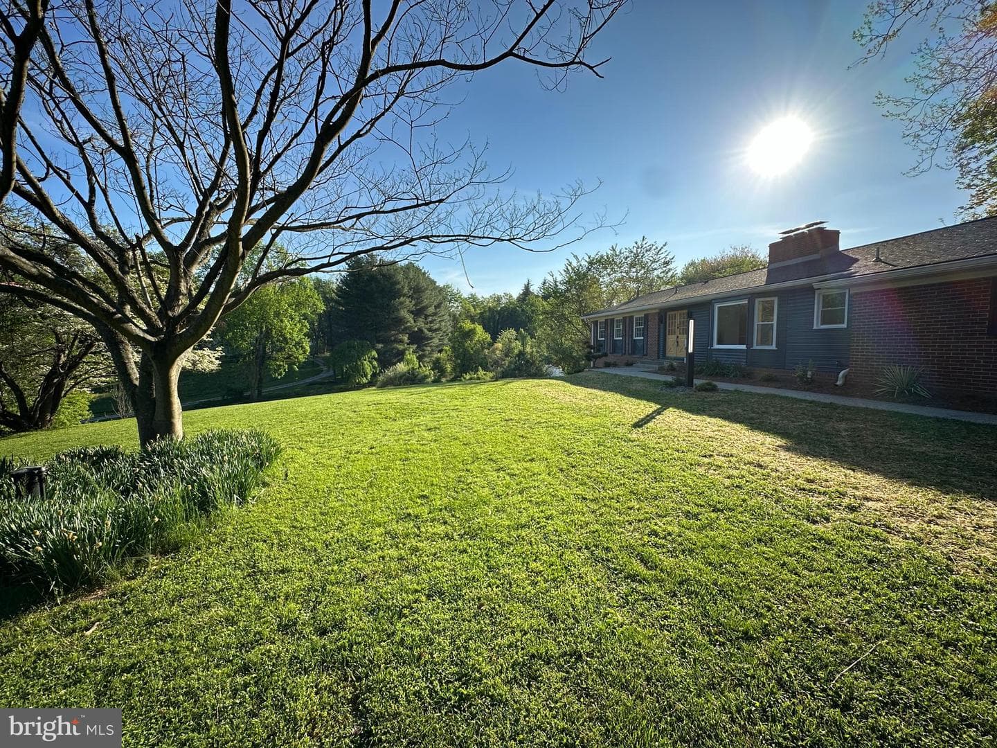 17821 Pond Road photo 88