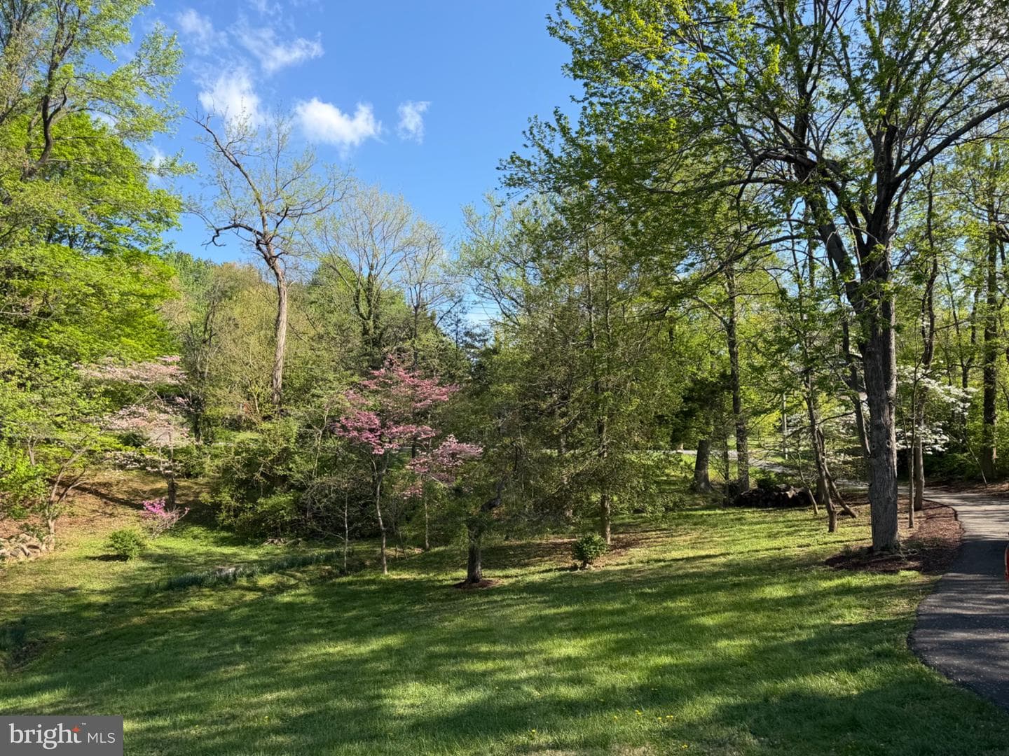 12410 Piedmont Road photo 2