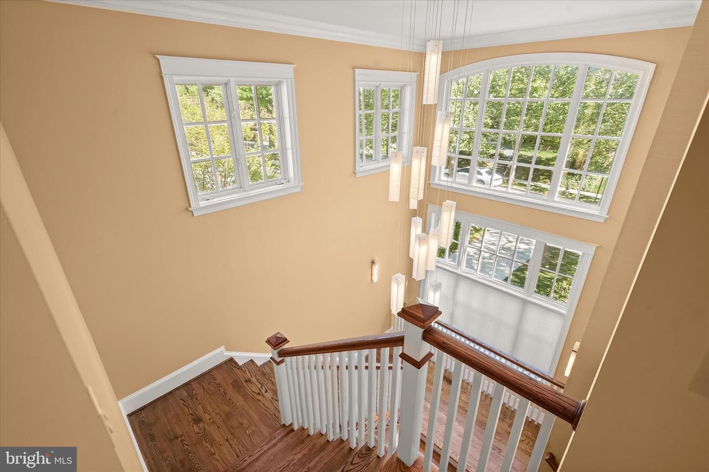 4423 Walsh Street photo 28