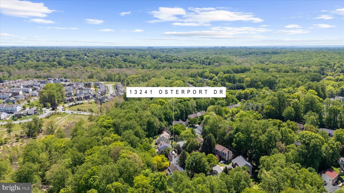 13241 Osterport Drive photo 58