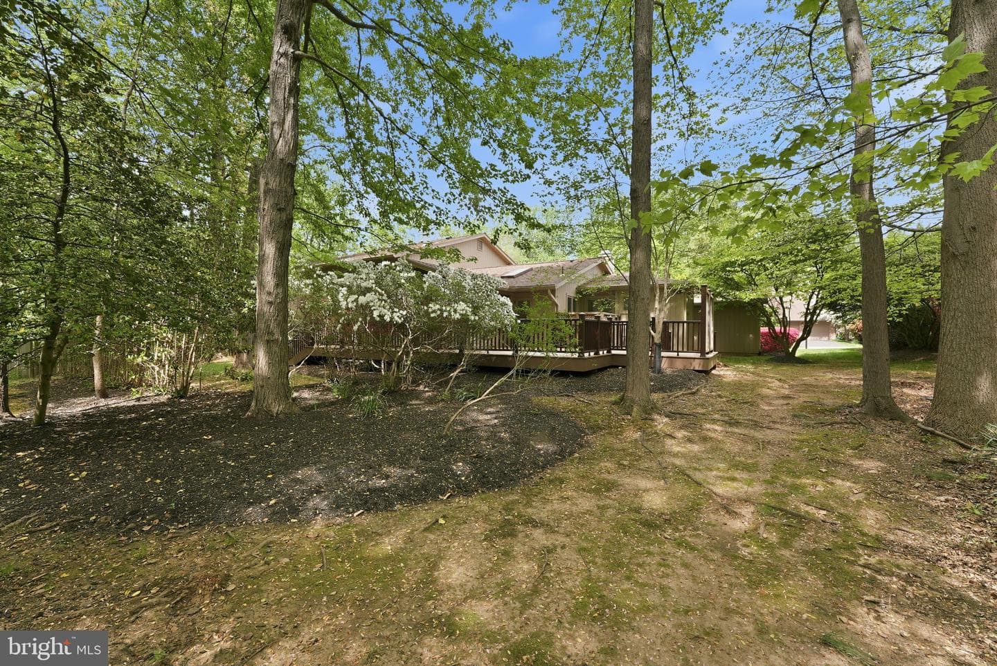 15 Arlive Court photo 42