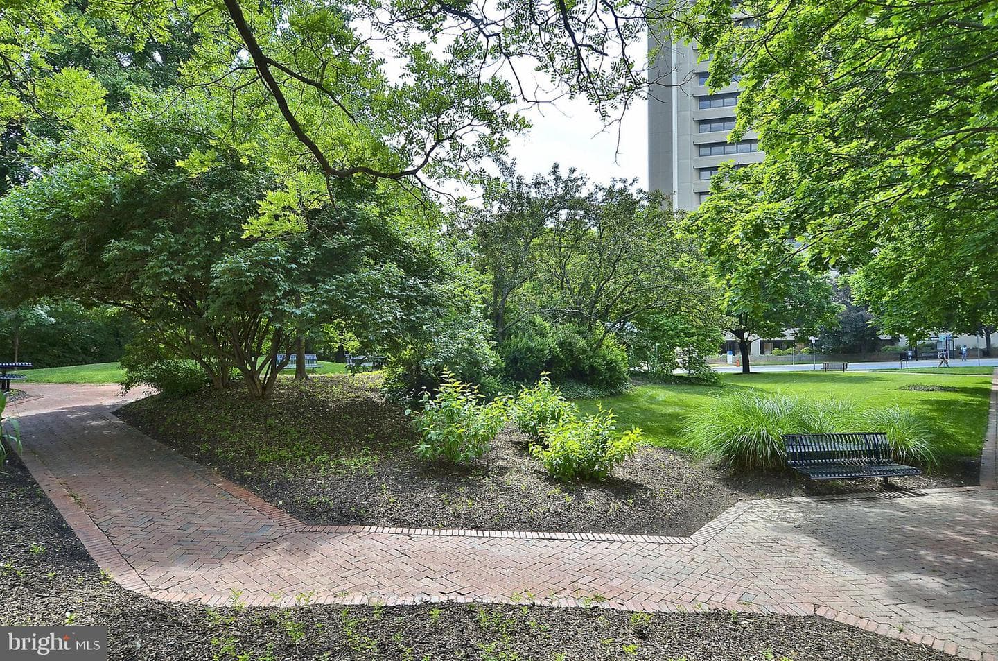 150 Monroe Street #302 photo 48