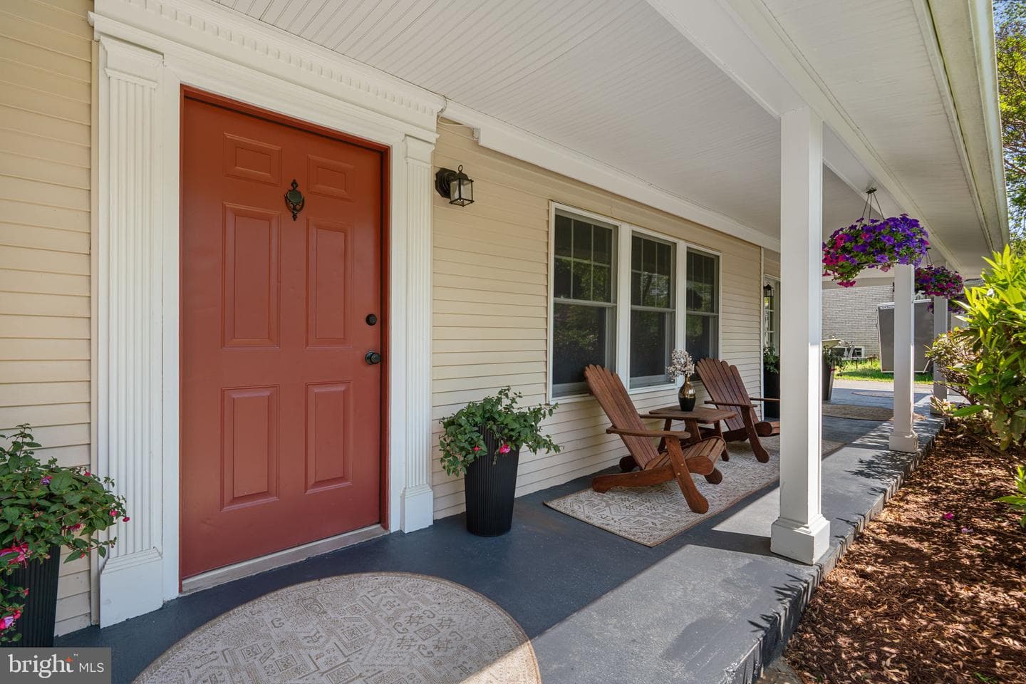 804 Olive Drive photo 5
