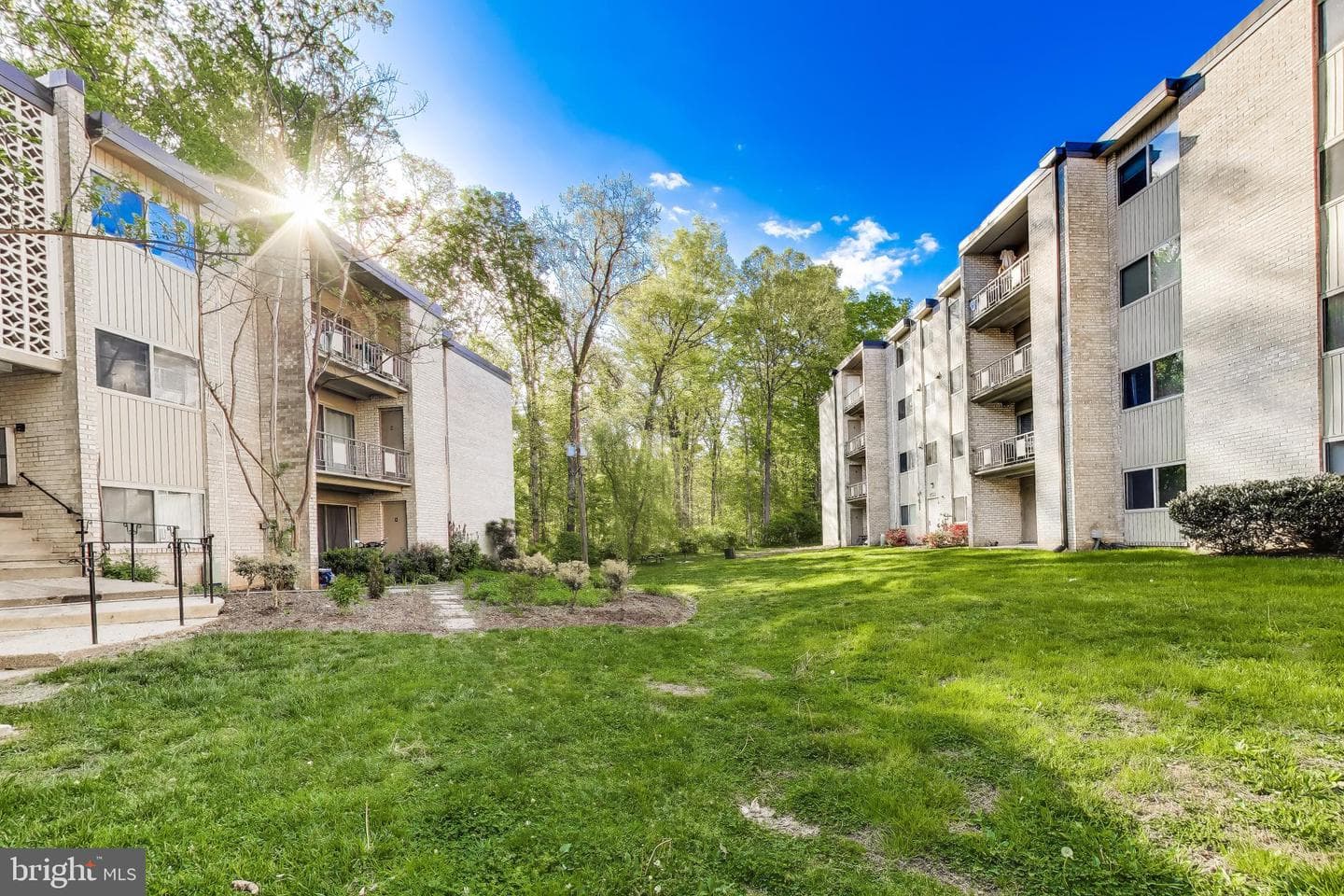 12401 Braxfield Court #479 photo 5