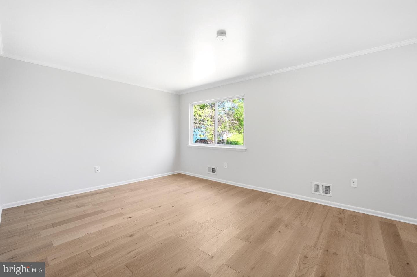 616 Chichester Lane photo 22