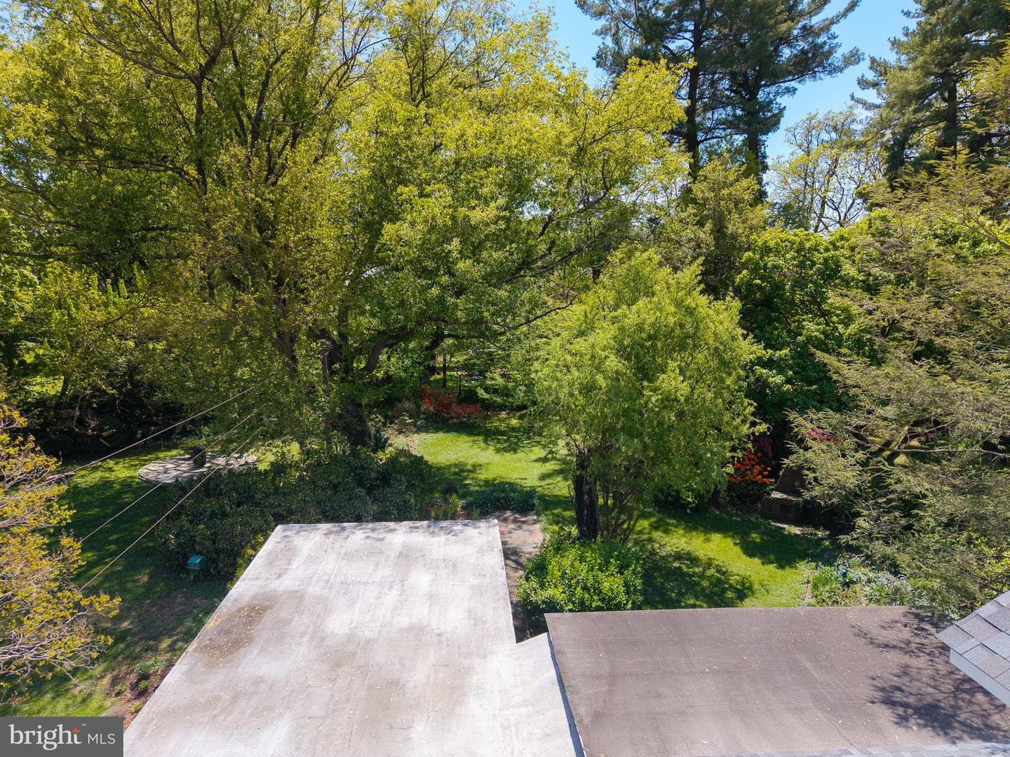 25 Maryland Avenue photo 60