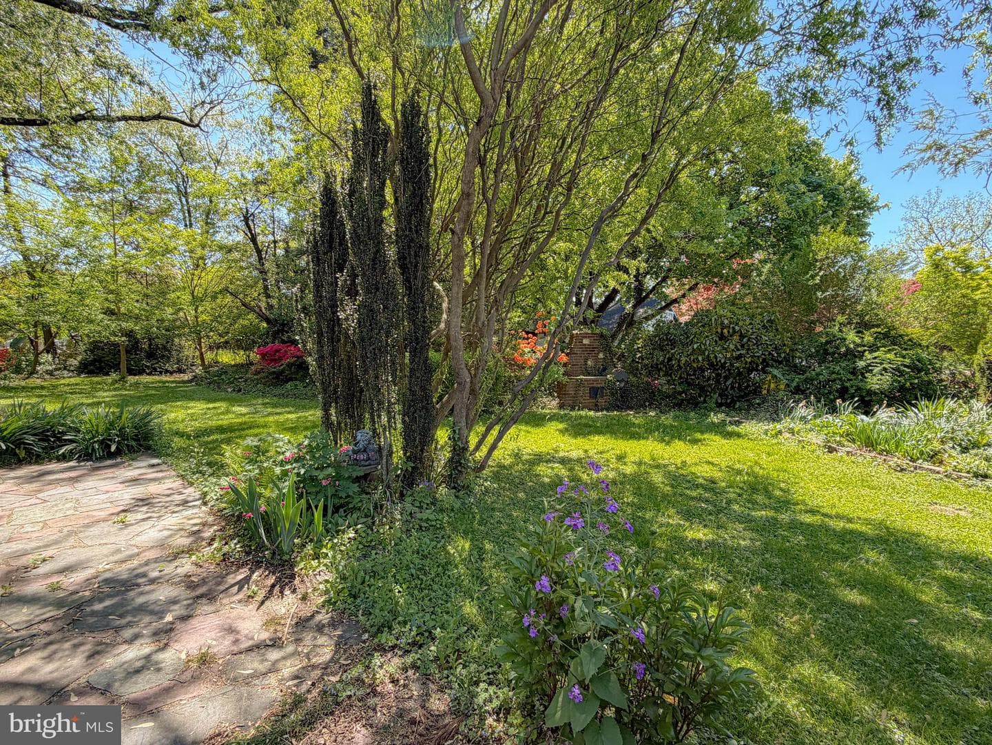 25 Maryland Avenue photo 62