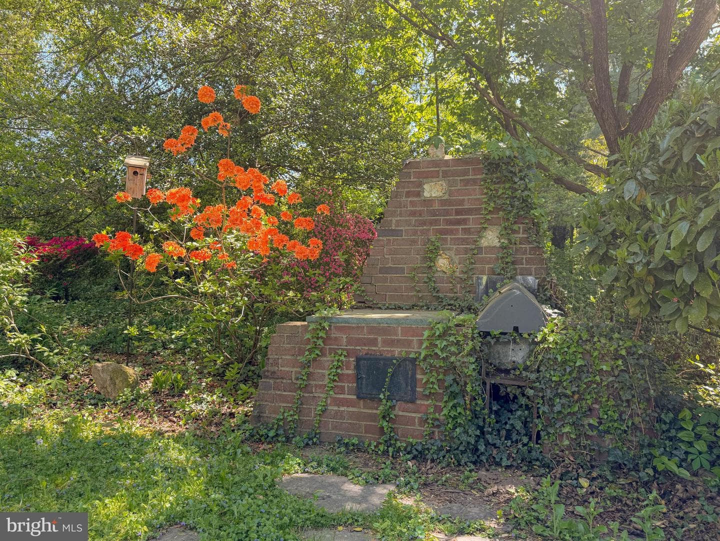 25 Maryland Avenue photo 67
