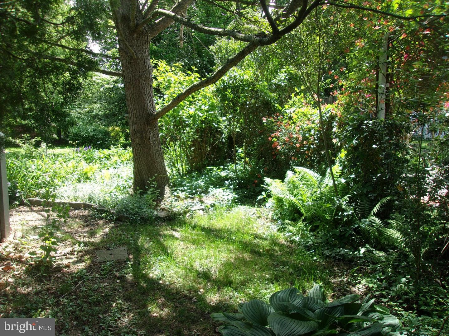 25 Maryland Avenue photo 74