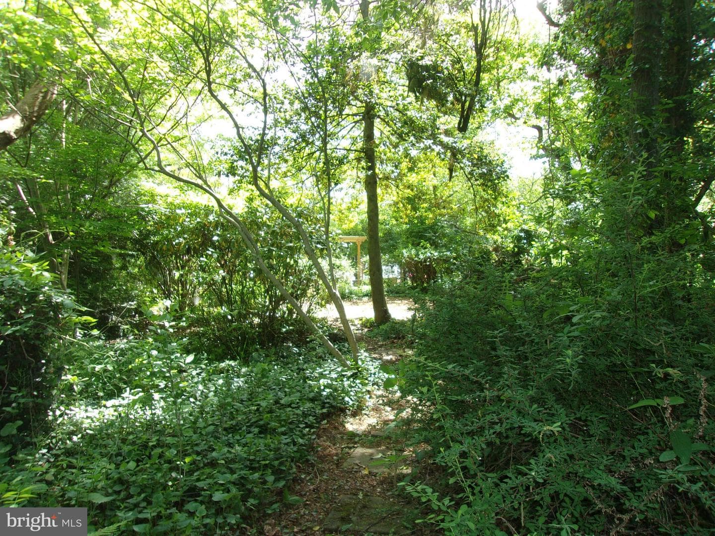 25 Maryland Avenue photo 80