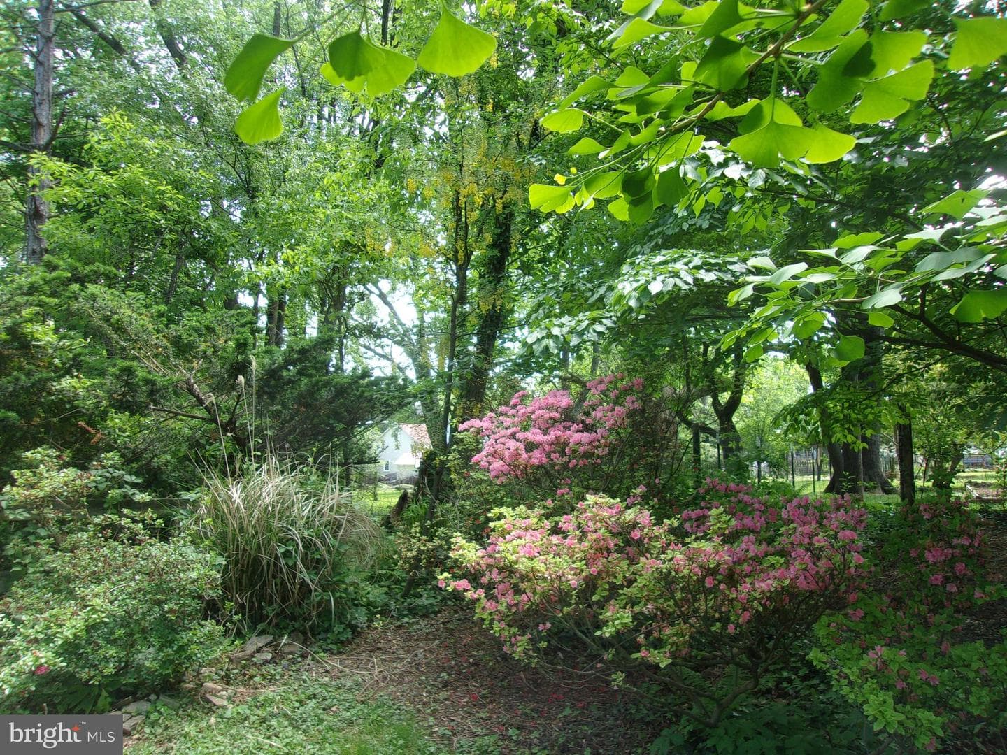 25 Maryland Avenue photo 86