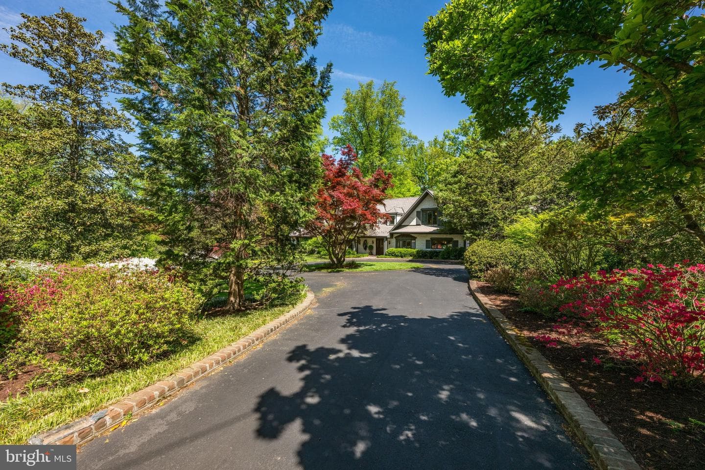 7019 Armat Drive photo 2