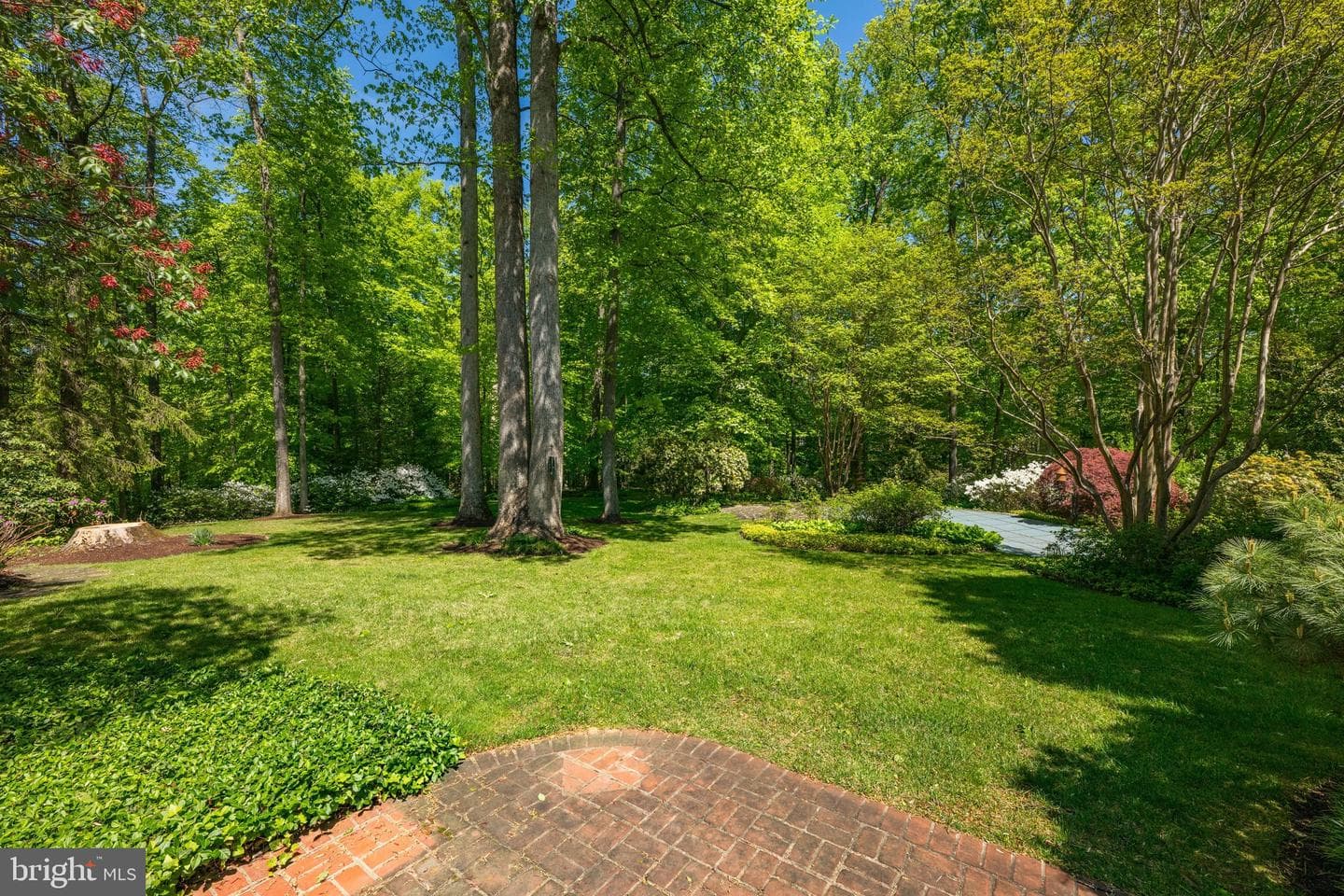 7019 Armat Drive photo 33