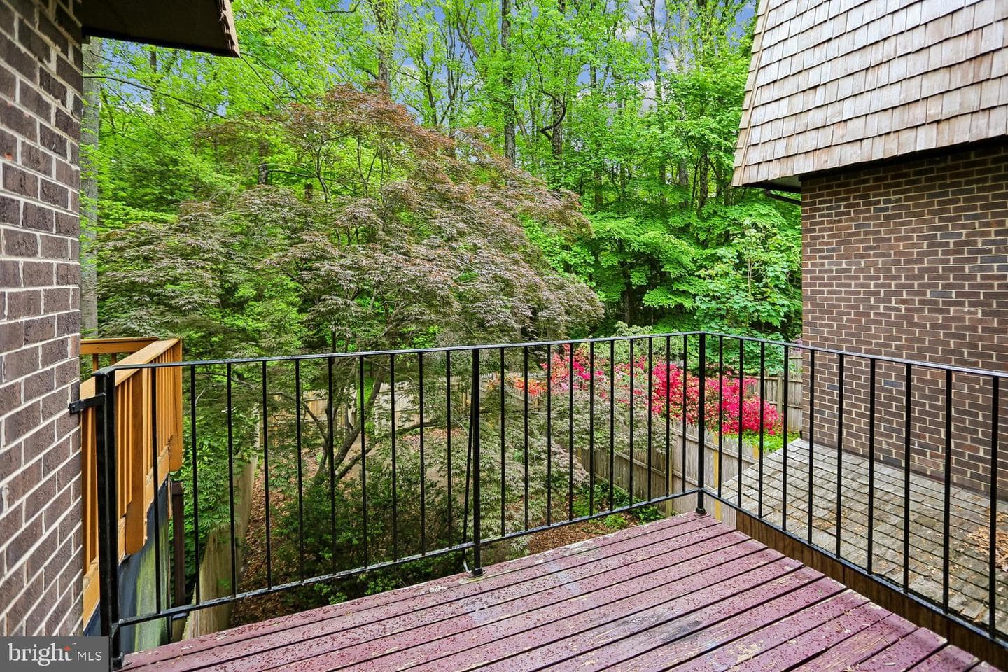 10721 Deborah Drive photo 4