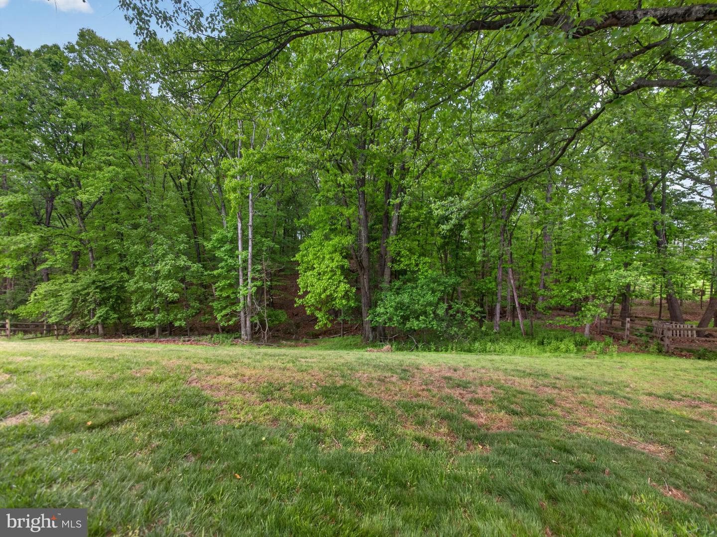 14512 Triple Crown Place photo 10