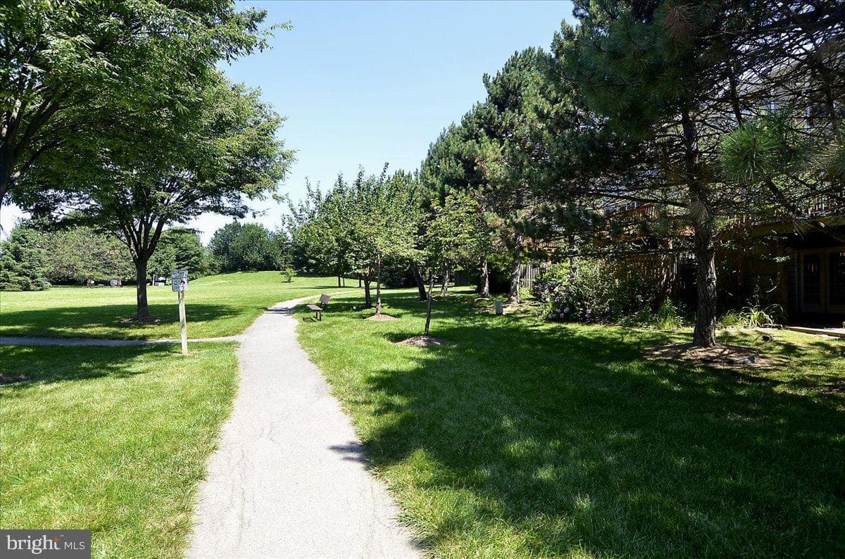 9 Fountain Valley Court photo 41