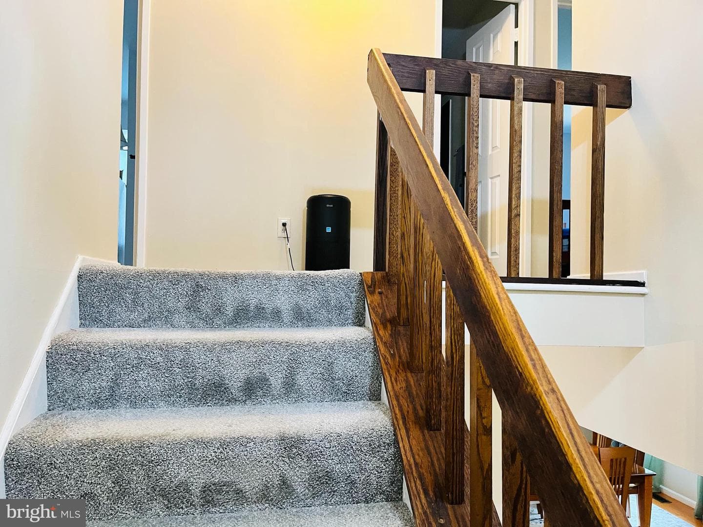 9562 Fern Hollow Way photo 23