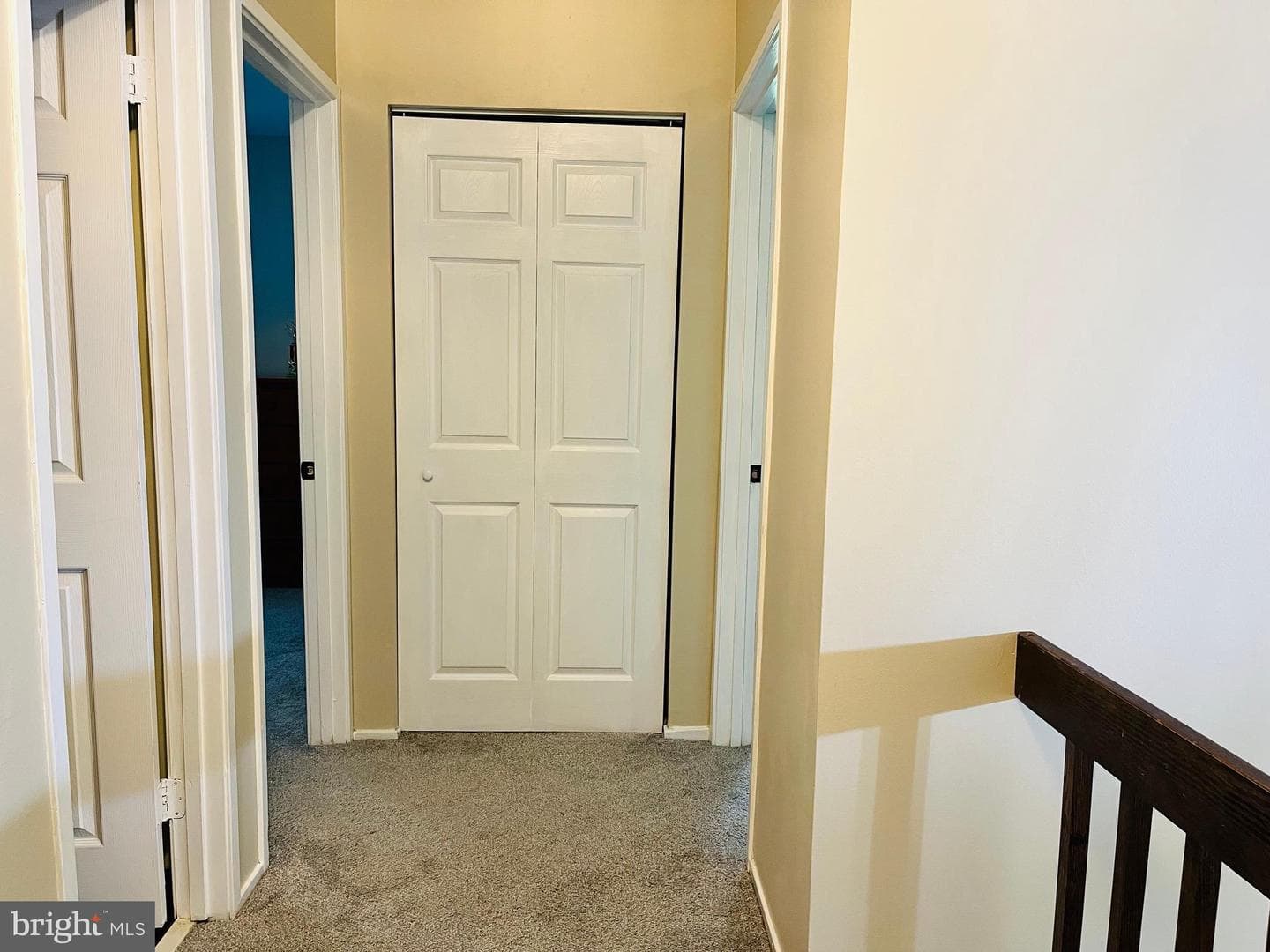 9562 Fern Hollow Way photo 25