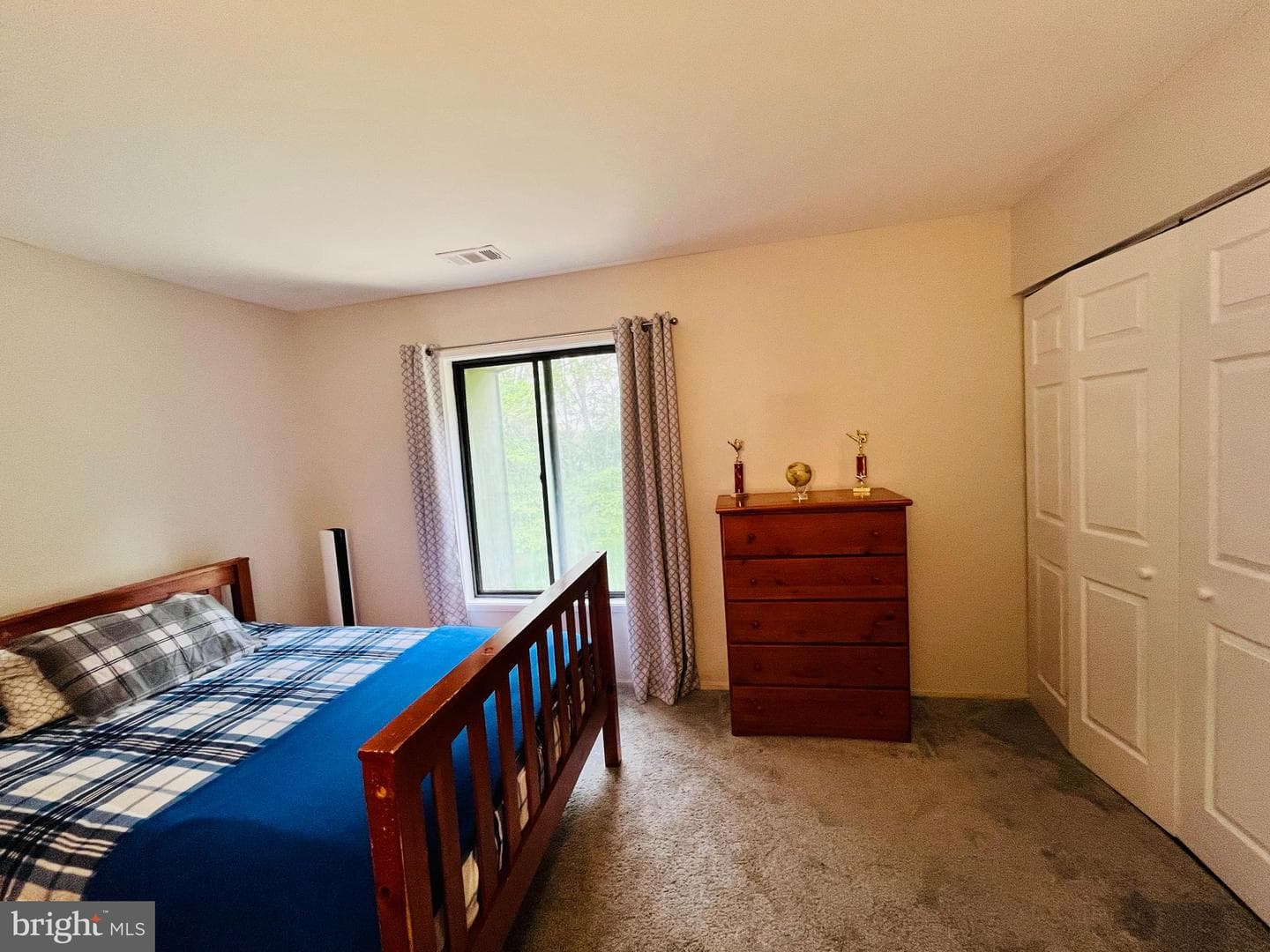 9562 Fern Hollow Way photo 29