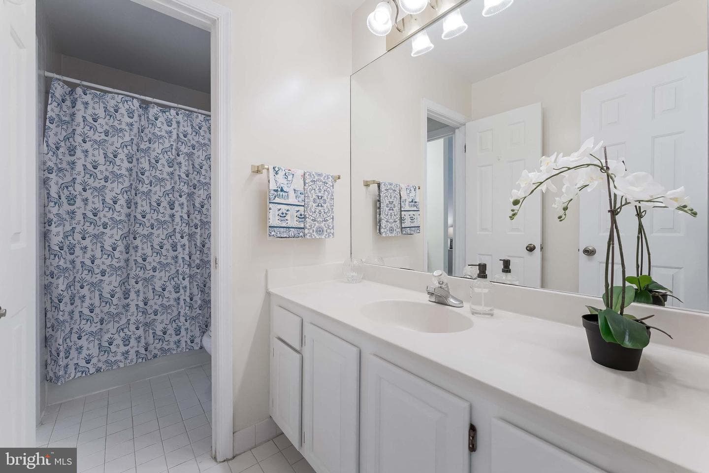 6808 Canal Bridge Court photo 26