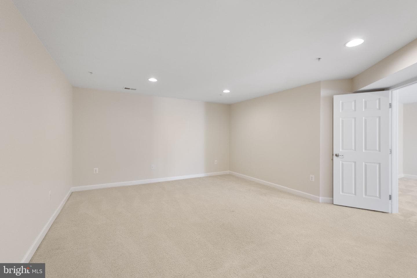23037 Spicebush Drive photo 43