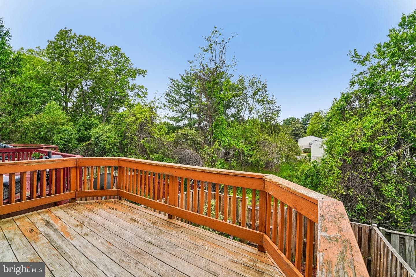 19634 White Saddle Drive photo 28