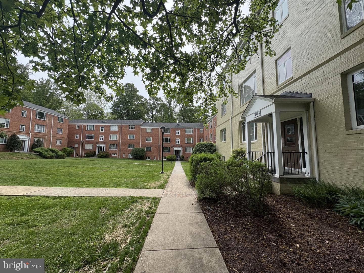 10403 Montrose Avenue #201 photo 3