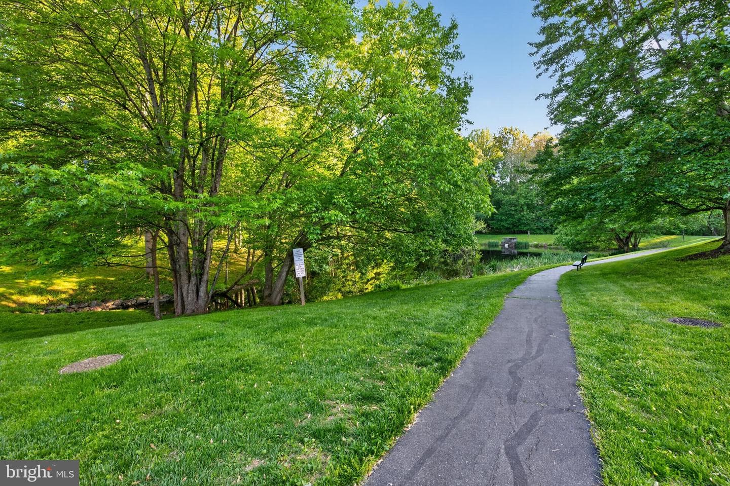 6 Galesville Court photo 45