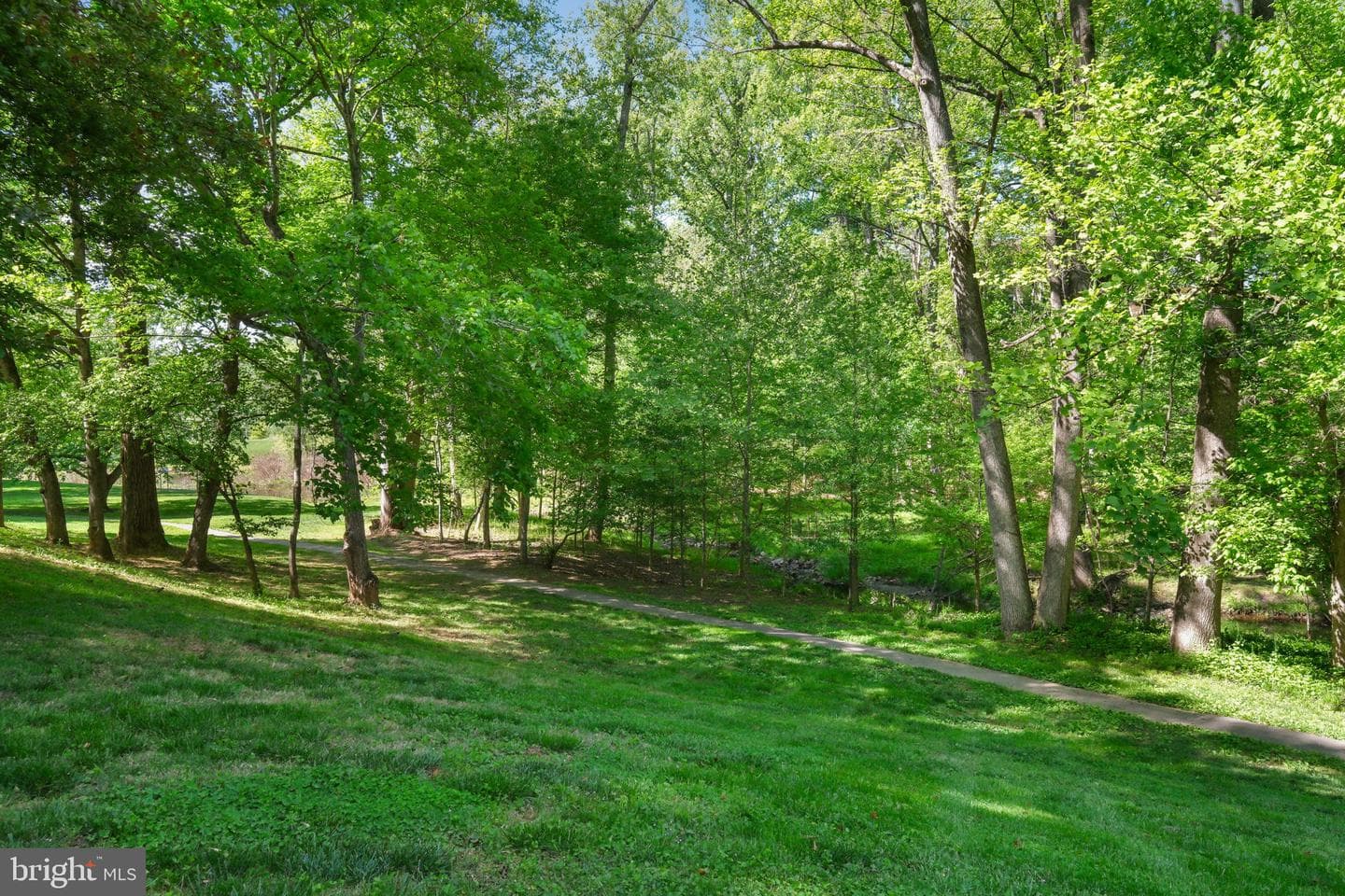9437 Reach Road photo 4