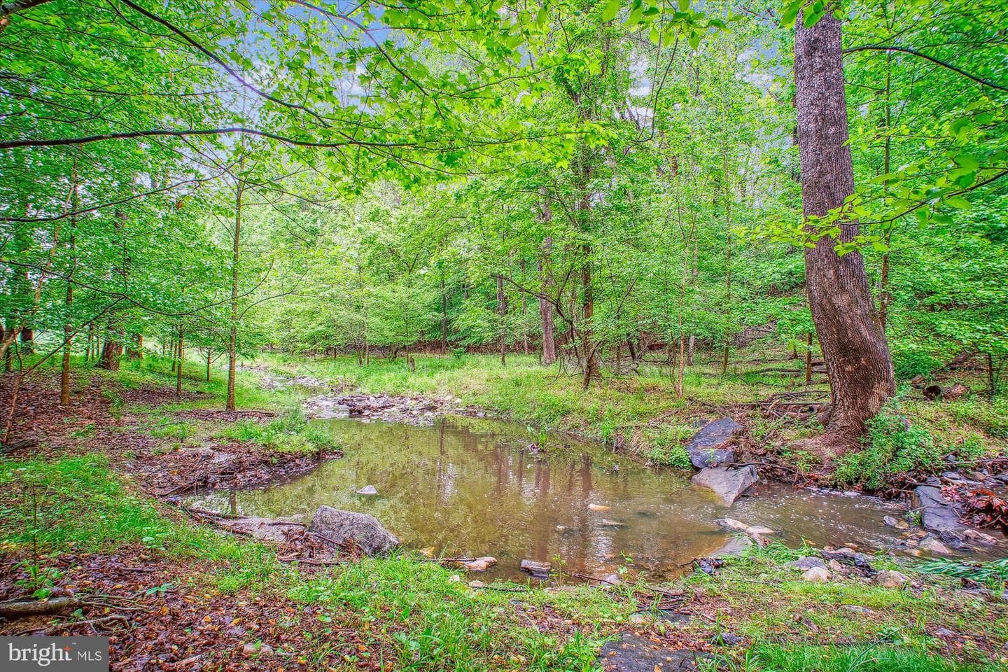 9437 Reach Road photo 57