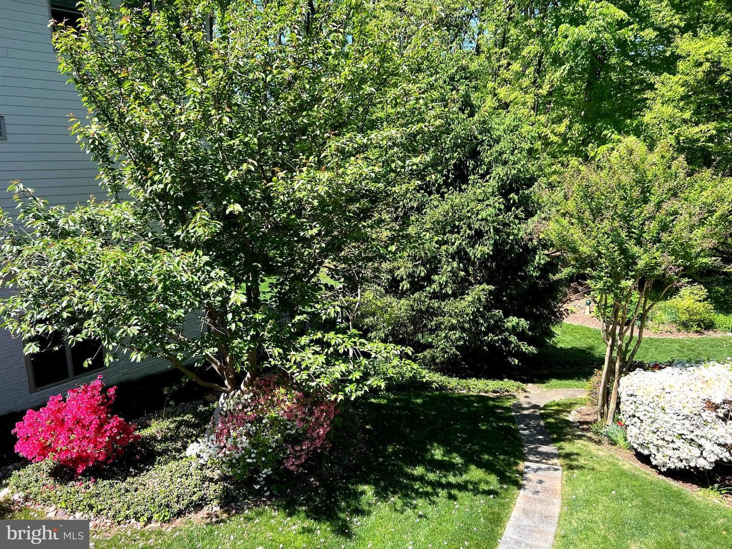 6907 Wilson Lane photo 39