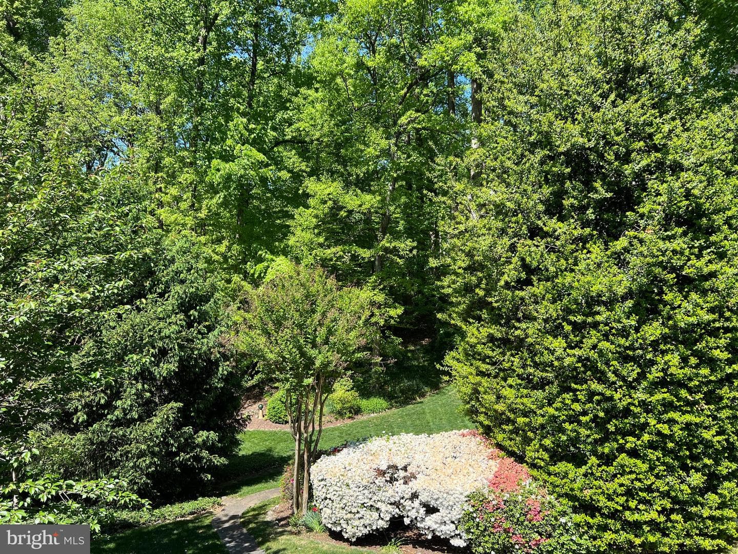 6907 Wilson Lane photo 43