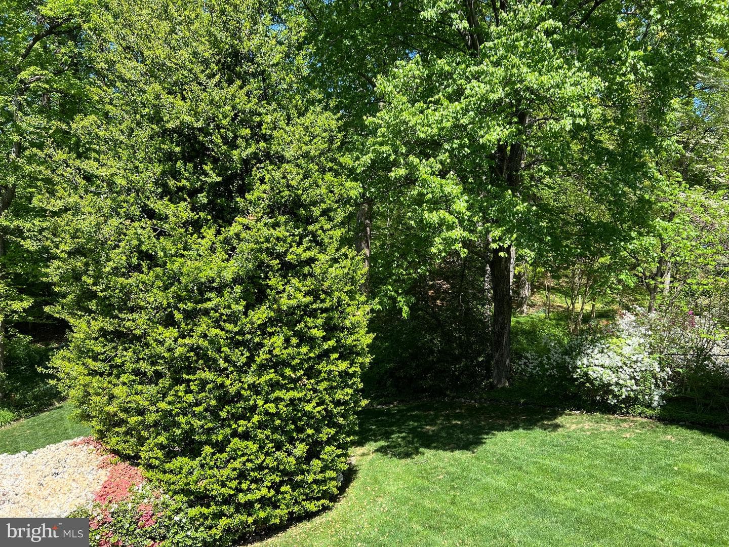6907 Wilson Lane photo 44